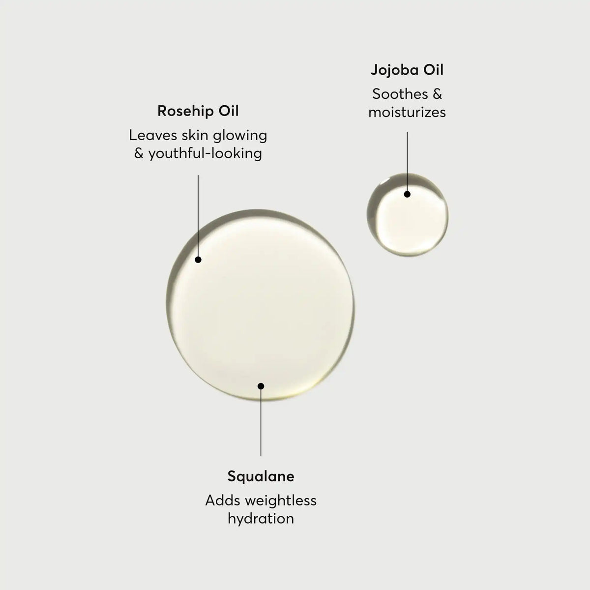 The Glow Getter Body Oil Evening Care Routine Essential